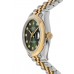 Replica Rolex Datejust 31 and Yellow Gold Olive Green Diamond Dial Women‘s Watch M278243-0030