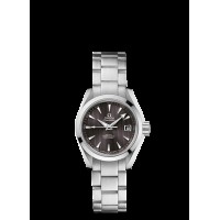 Omega Seamaster Aqua Terra Automatic Replica Watch 231.10.30.20.06.001