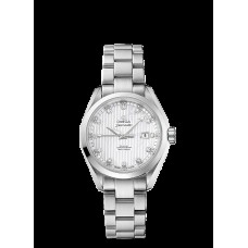 Omega Seamaster Aqua Terra Automatic Replica Watch 231.10.34.20.55.001