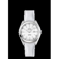 Omega Seamaster Aqua Terra Automatic Replica Watch 231.13.34.20.04.001