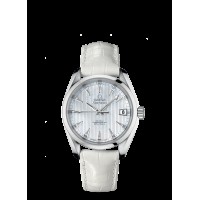 Omega Seamaster Aqua Terra Replica Watch 231.13.39.21.55.001