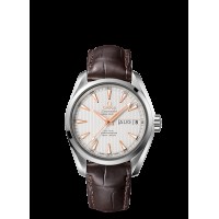 Omega Seamaster Aqua Terra Annual Calendar Replica Watch 231.13.39.22.02.001
