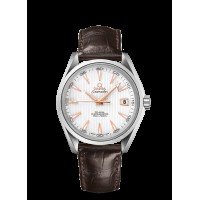 Omega Seamaster Aqua Terra Replica Watch 231.13.42.21.02.002