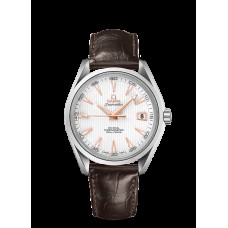 Omega Seamaster Aqua Terra Replica Watch 231.13.42.21.02.002