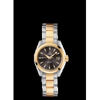Omega Seamaster Aqua Terra Ladies Automatic Replica Watch 231.20.30.20.06.002