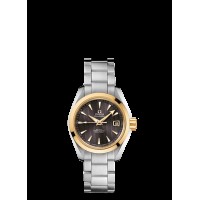 Omega Seamaster Aqua Terra Automatic Replica Watch 231.20.30.20.06.004