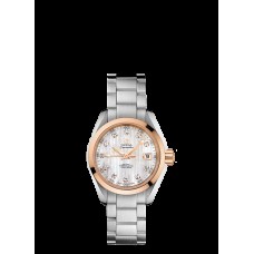 Omega Seamaster Aqua Terra Replica Watch 231.20.30.20.55.003