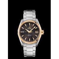 Omega Seamaster Aqua Terra Replica Watch 231.20.39.21.06.004