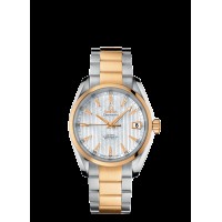 Omega Seamaster Aqua Terra Automatic Replica Watch 231.20.39.21.55.002