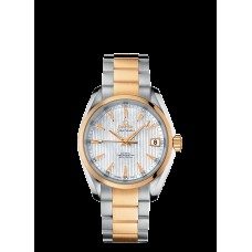 Omega Seamaster Aqua Terra Automatic Replica Watch 231.20.39.21.55.002