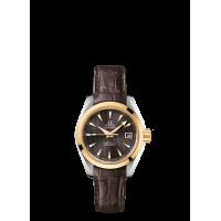 Omega Seamaster Aqua Terra Automatic Replica Watch 231.23.30.20.06.002