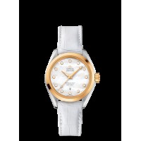 Omega Seamaster Aqua Terra Automatic Replica Watch 231.23.34.20.55.002