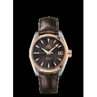 Omega Seamaster Aqua Terra Replica Watch 231.23.39.21.06.001