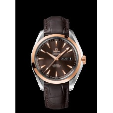 Omega Seamaster Aqua Terra Annual Calendar Replica Watch 231.23.43.22.06.002