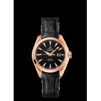 Omega Seamaster Aqua Terra Automatic Replica Watch 231.53.34.20.01.002