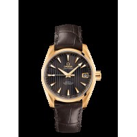 Omega Seamaster Aqua Terra Automatic Replica Watch 231.53.39.21.06.002