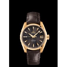 Omega Seamaster Aqua Terra Automatic Replica Watch 231.53.39.21.06.002