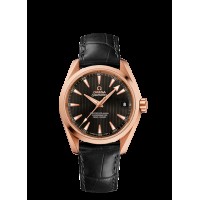 Omega Seamaster Aqua Terra Replica Watch 231.53.39.21.06.003