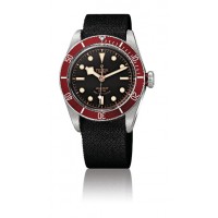 Replica Tudor Heritage Black Bay SteelAdvisor Steel and Titanium -79220R unisex Watch