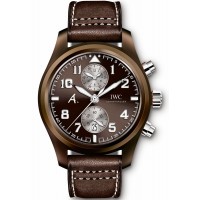 IWC Pilot Classic The Last Flight IW388005