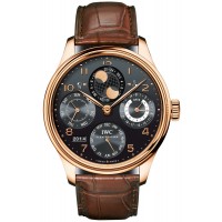 IWC Portuguese IW503202  Perpetual Calendar Hemisphere Moonphase Mens Replica watch