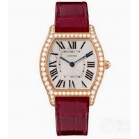 Cartier Tortue Ladies Watch WA501011 WA501006